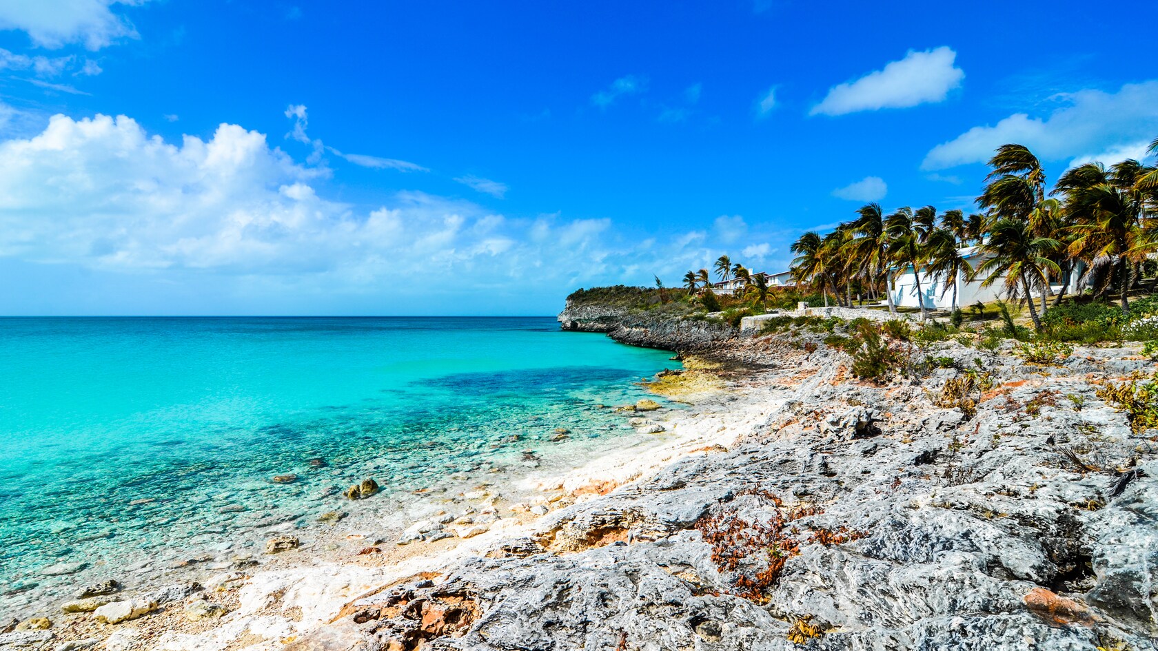 5-Night Bahamian Cruise from Port Canaveral