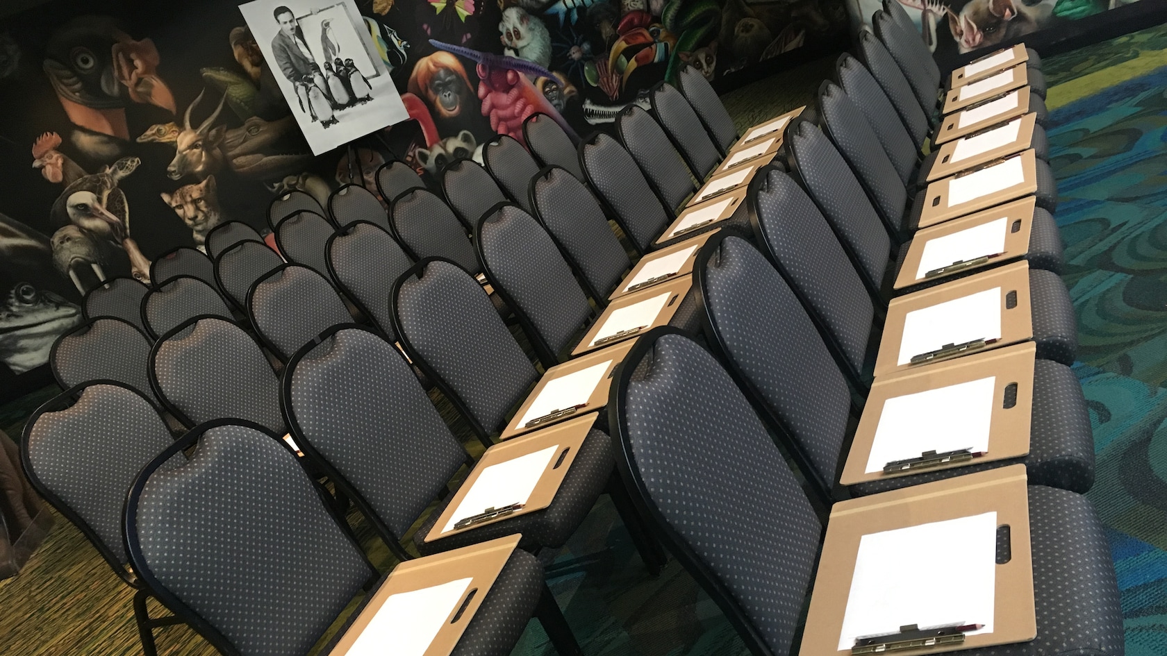 Una imagen de Walt Disney con pingüinos detrás de una variedad de sillas y pizarras de arte