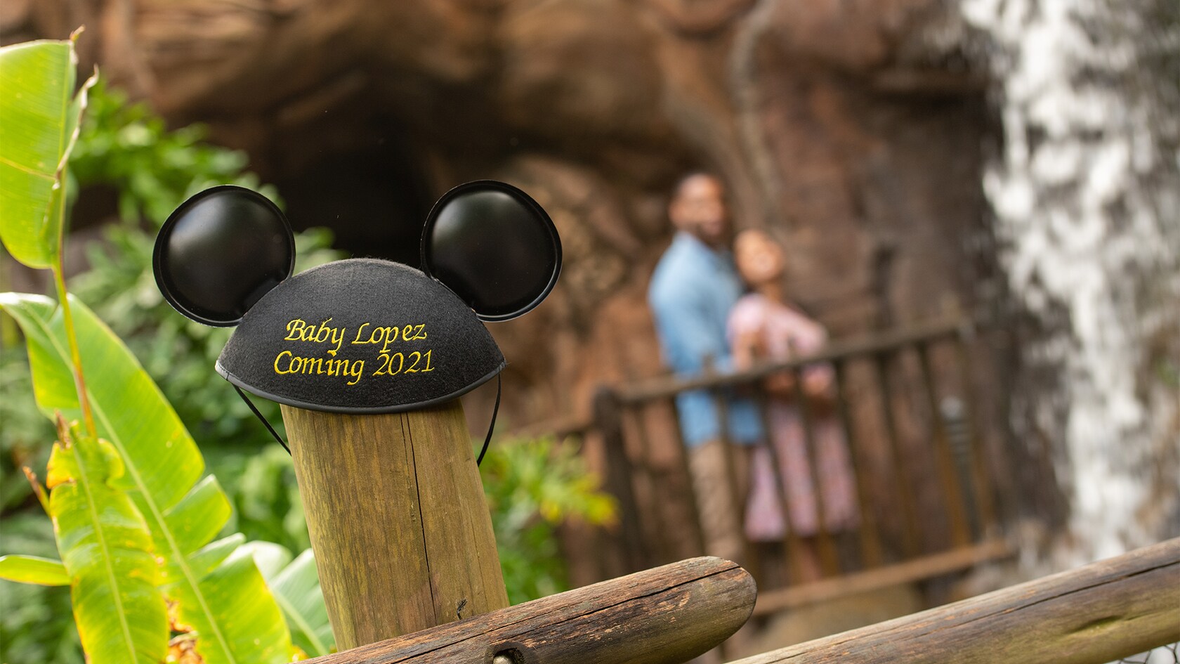 Capture Your Moment at Disney's Animal Kingdom Theme Park