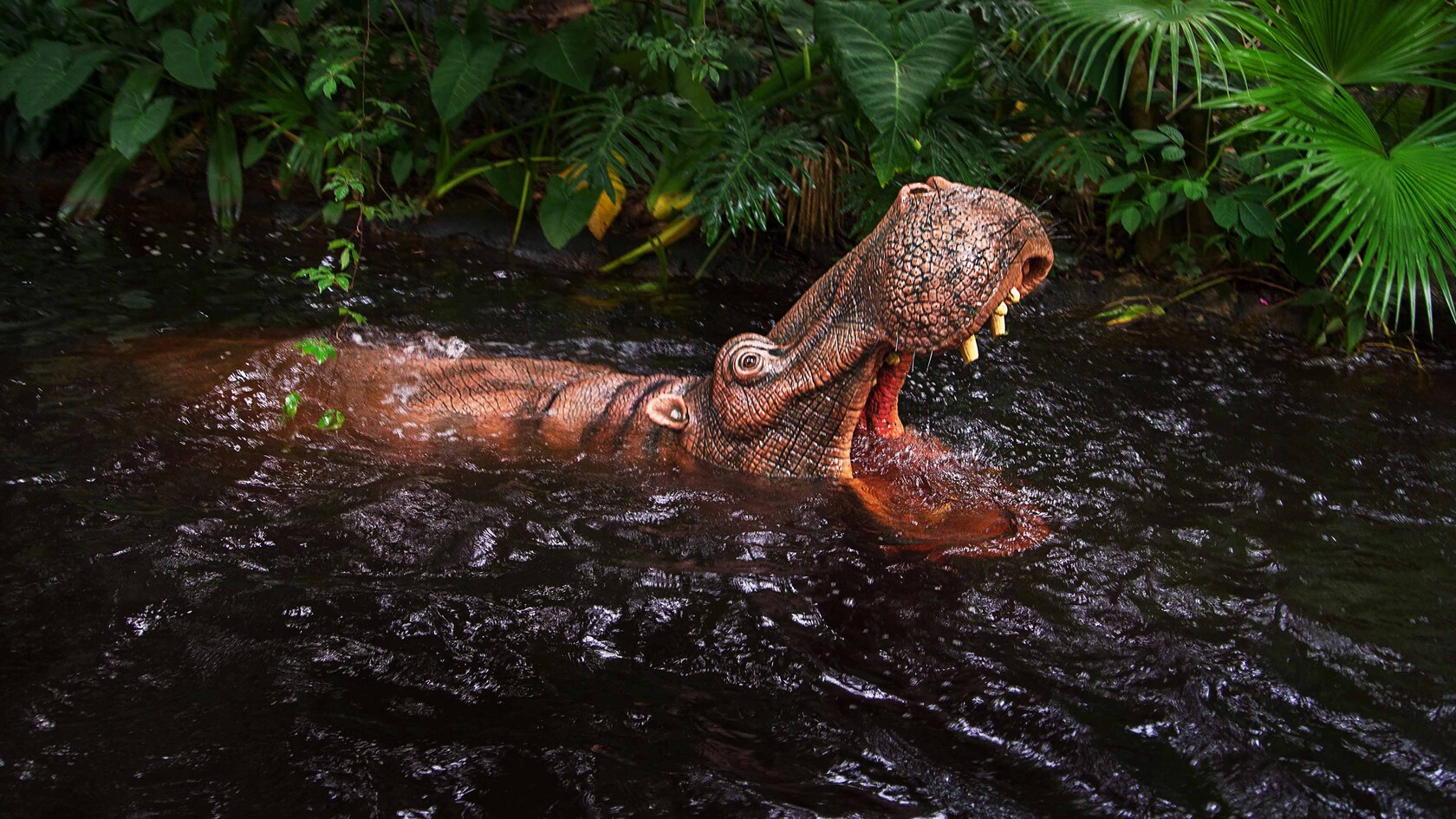 An animatronic hippopotamus snarls from the waters of a jungle river