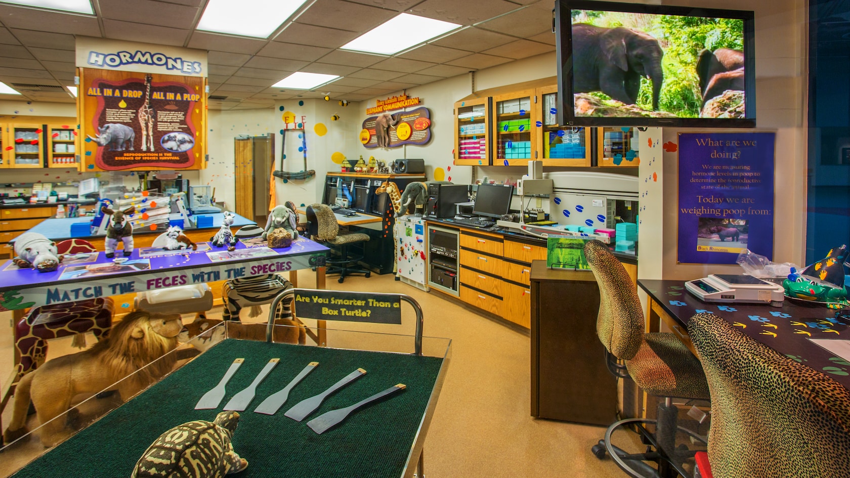 Conservation Station Animal Kingdom Attractions Walt Disney World