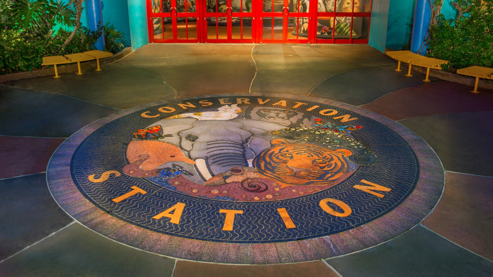 Conservation Station Animal Kingdom Attractions Walt Disney World