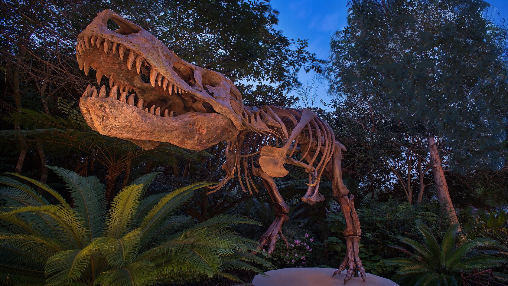 8 Totally Cool Things About Dino-Sue At Walt Disney World - Disney Dining