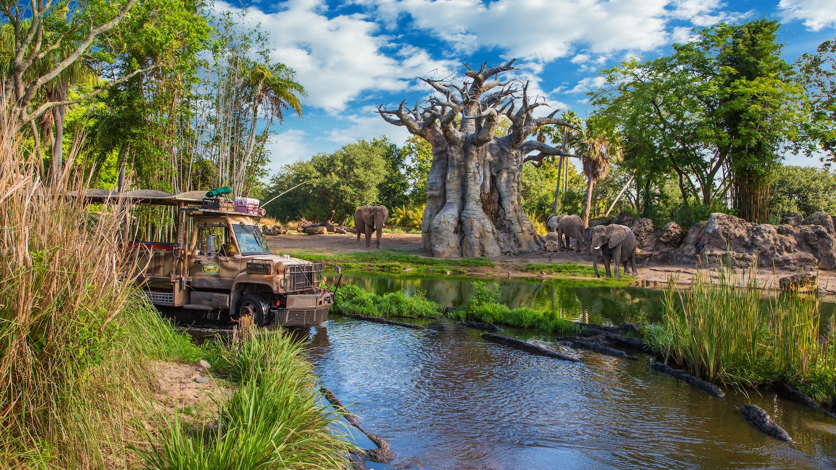 An open-air safari bus drives in a river past 3 elephants 