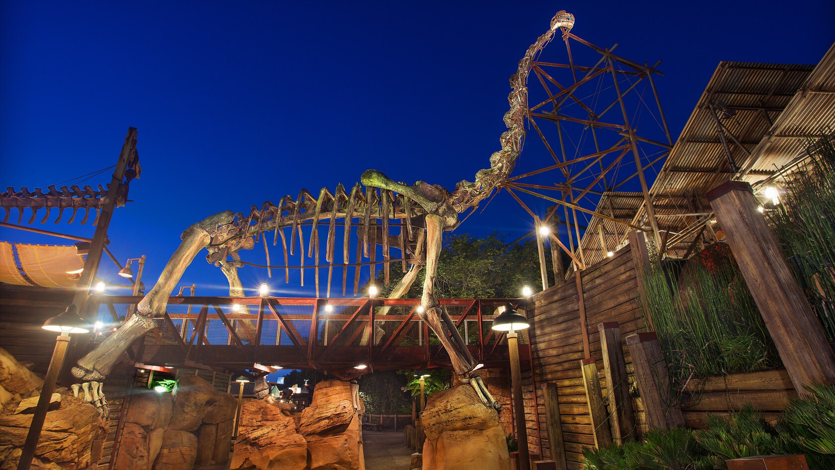 The Boneyard Animal Kingdom Attractions Walt Disney World Resort