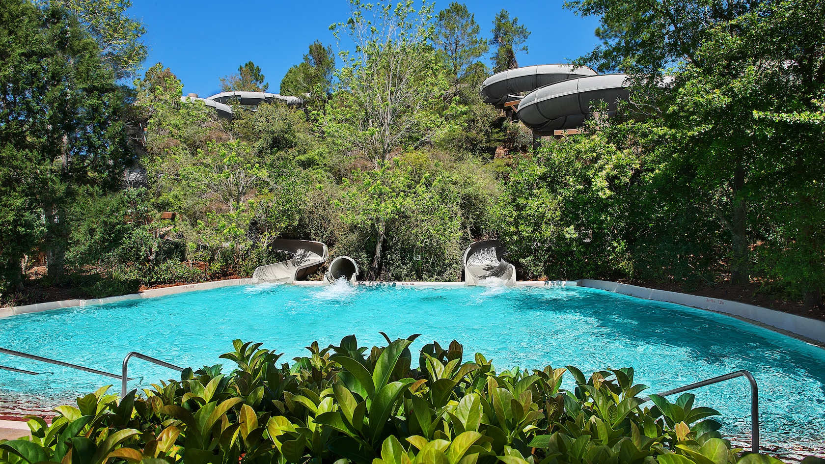 Runoff Rapids Blizzard Beach Attractions Walt Disney World Resort runoff-rapids-blizzard-beach-attractions-walt-disney-world-resort