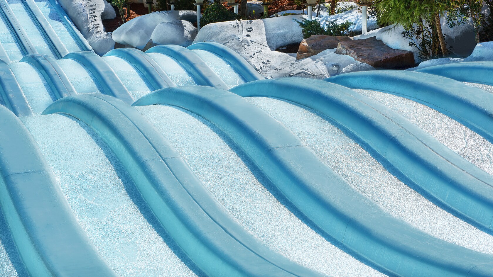 Toboggan Racers Blizzard Beach Attractions Walt Disney World Resort