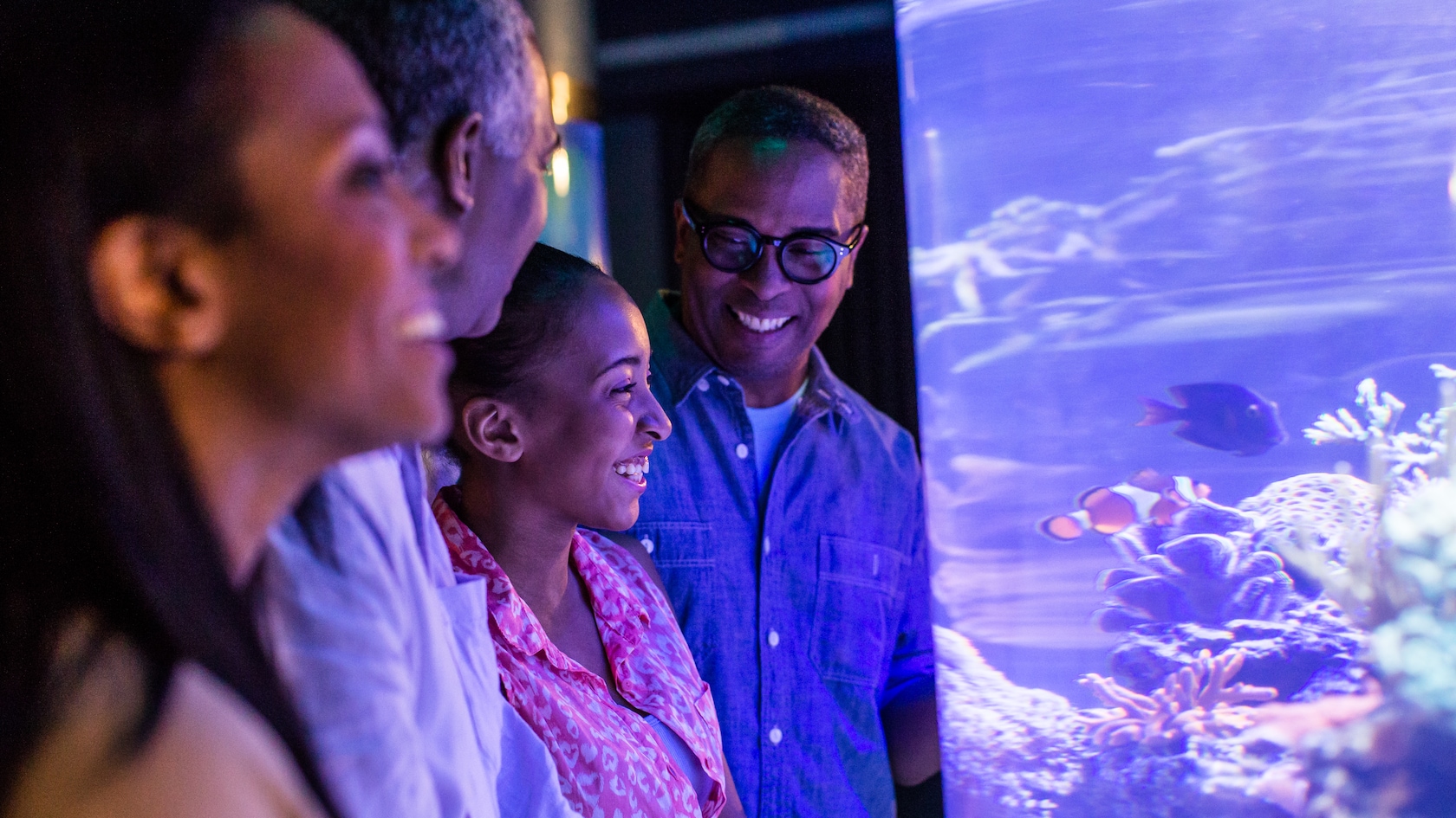 Two couples look at fish in an aquarium at SeaBase in The Seas with Nemo & Friends Pavilion