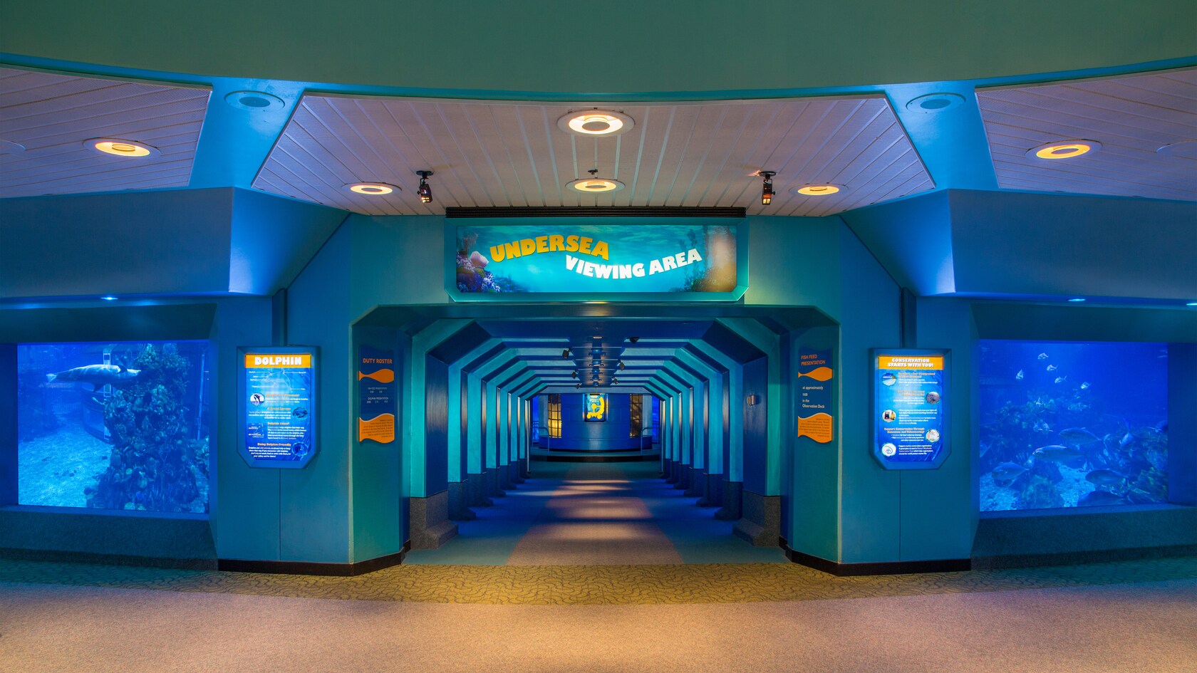 The Seas with Nemo & Friends Epcot Attractions Walt Disney World Resort