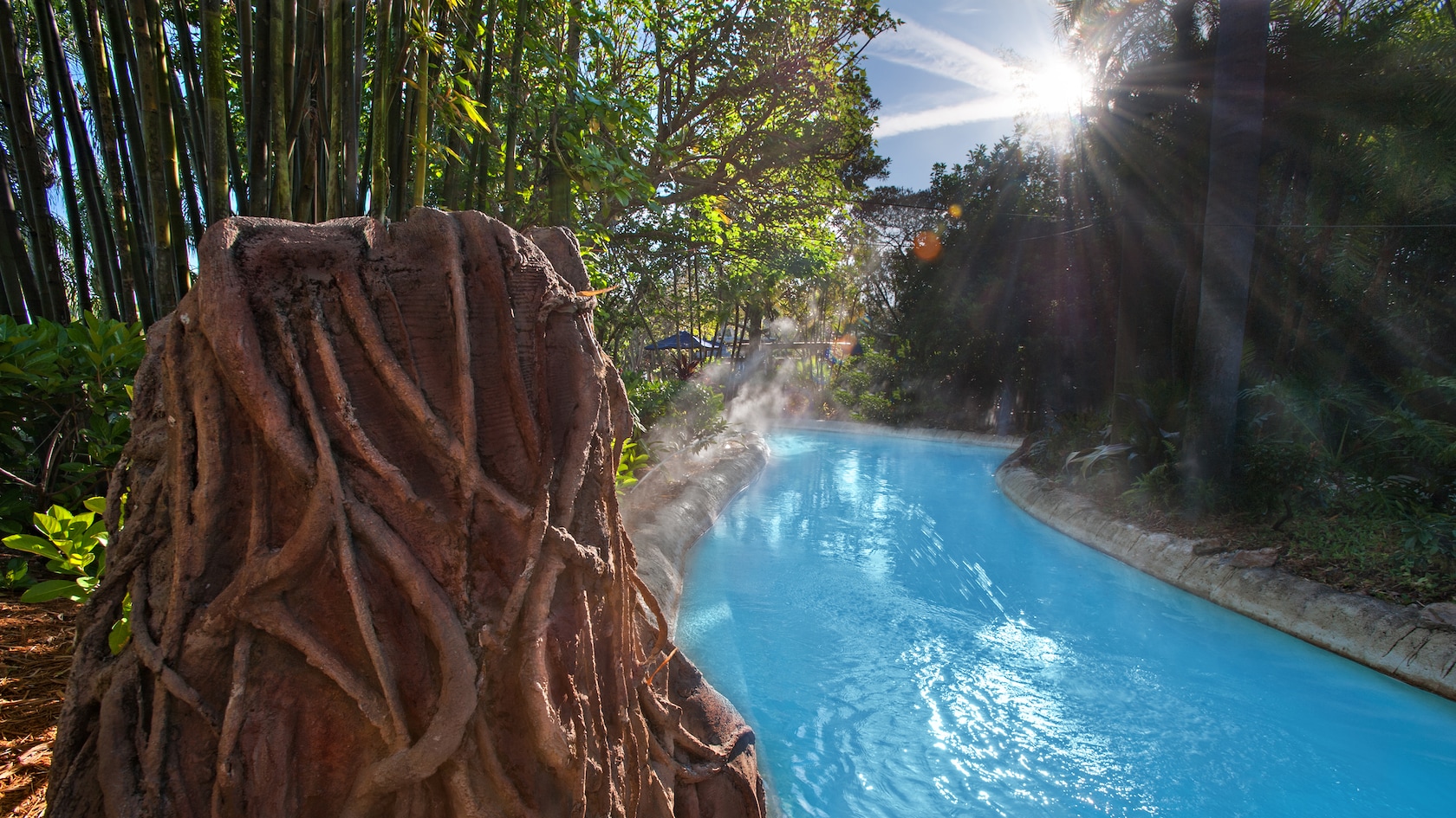 The sun peeking through tall trees that line Castaway Creek at Disney's Typhoon Lagoon water park
