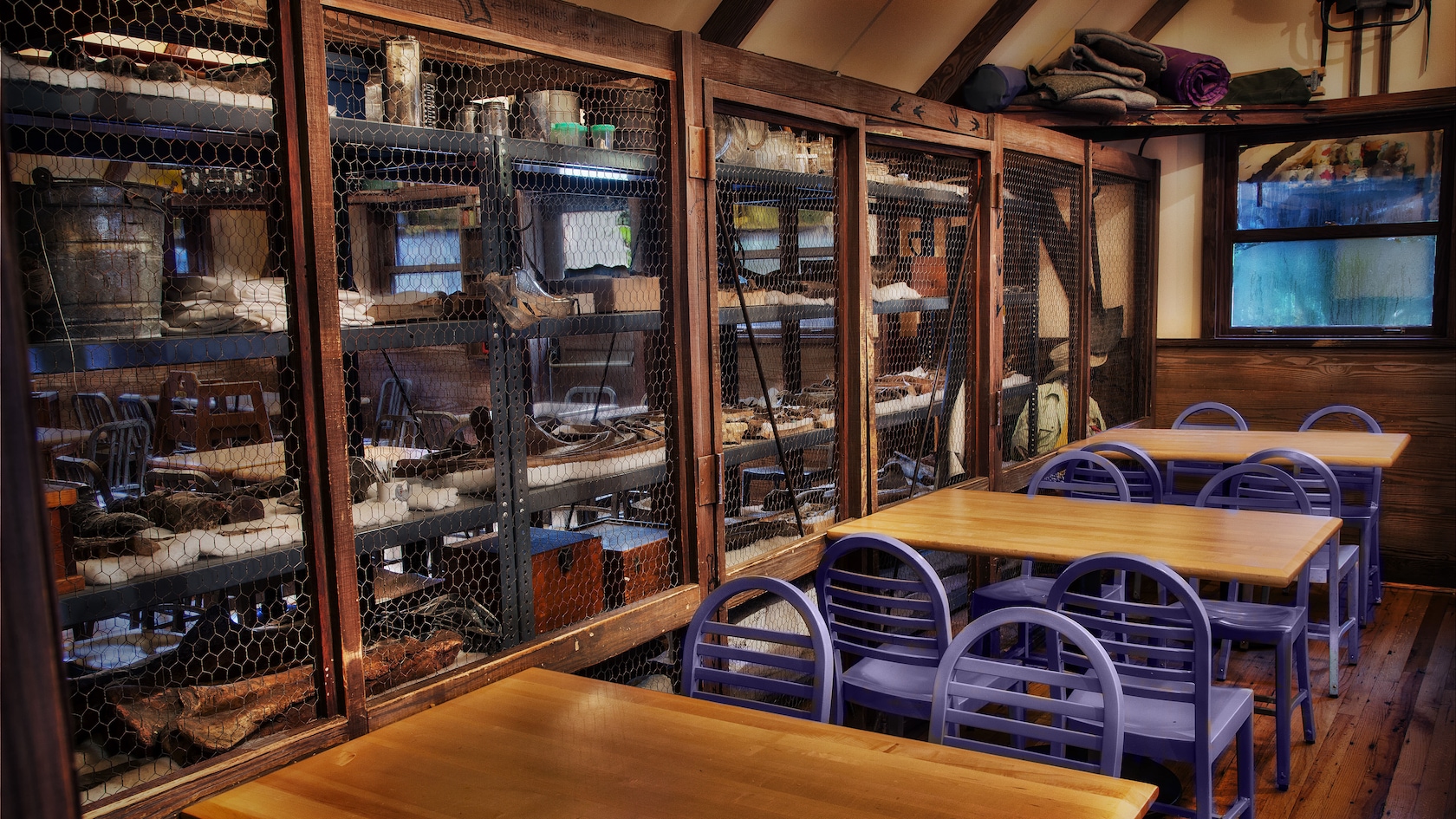 Display shelves filled with camping gear, provisions, bones and fossils