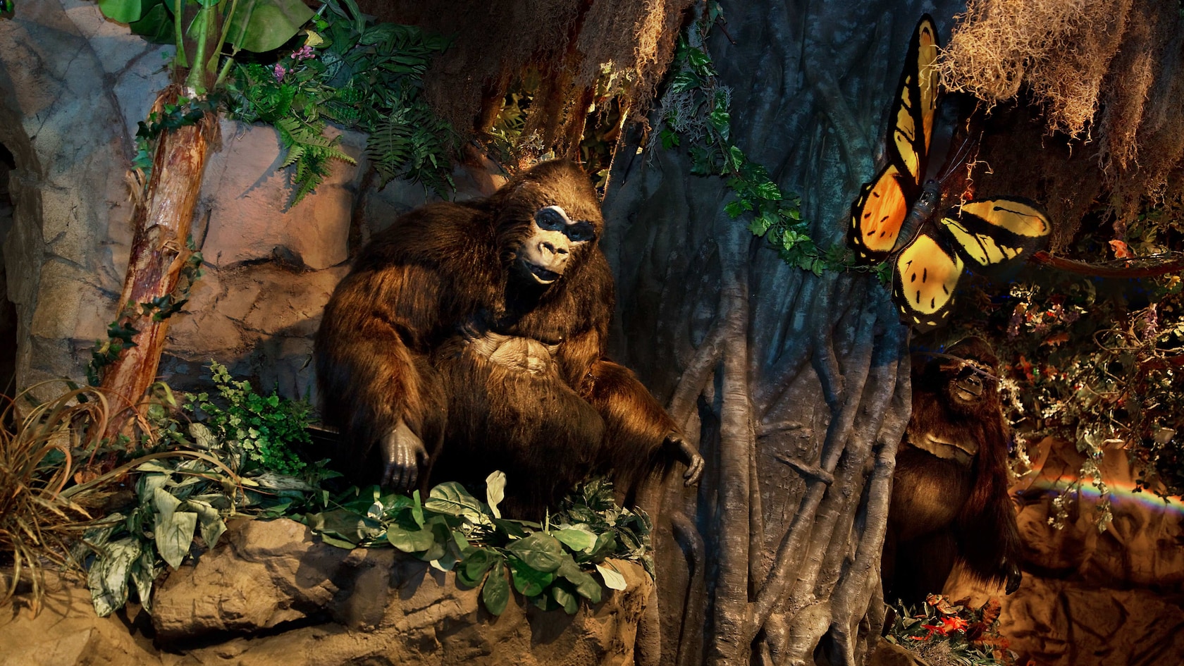 Borboleta grande na árvore perto dos 2 gorilas robôs