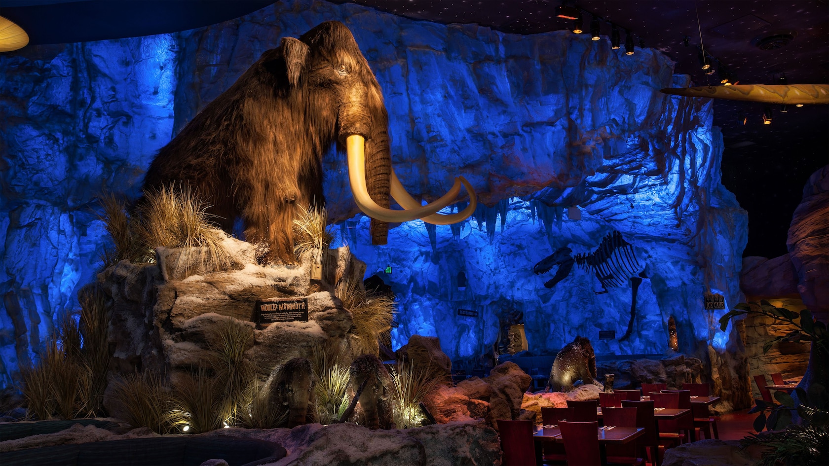 Un gran mamut lanudo observa a las mesas de abajo