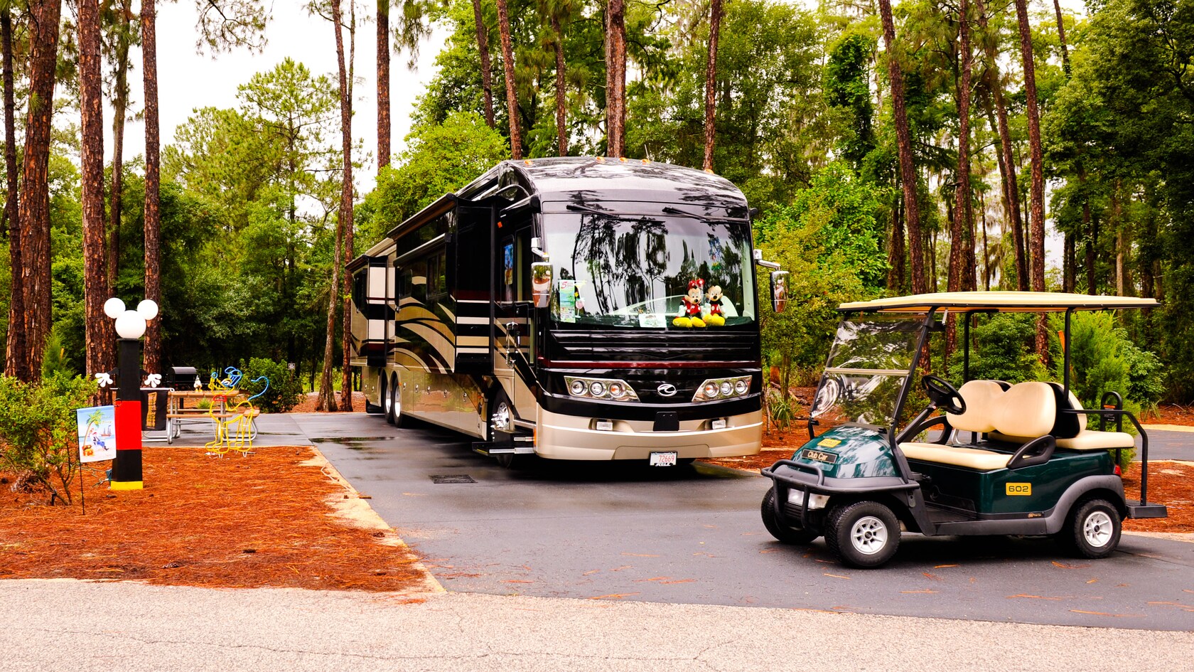 Golf Cart Rental Walt Disney World Resort