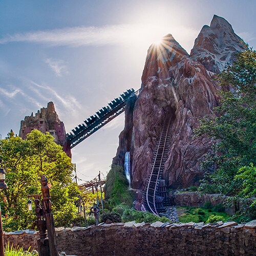 A train ascending a hill at Expedition Everest, Legend of the Forbidden Mountain