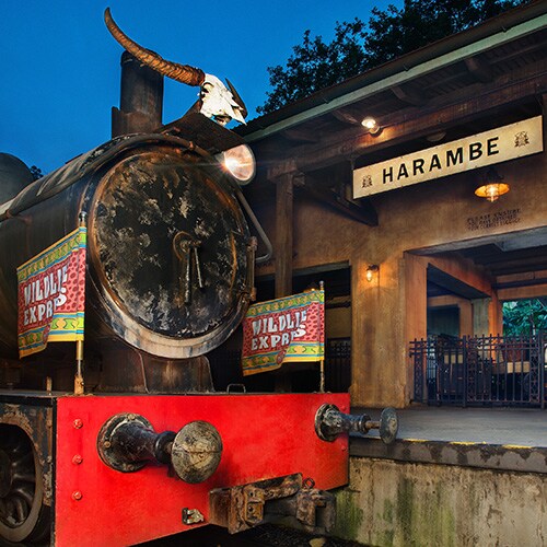 A train with flags reading 'Wildlife Express' at a station platform with signs saying 'Harambe'