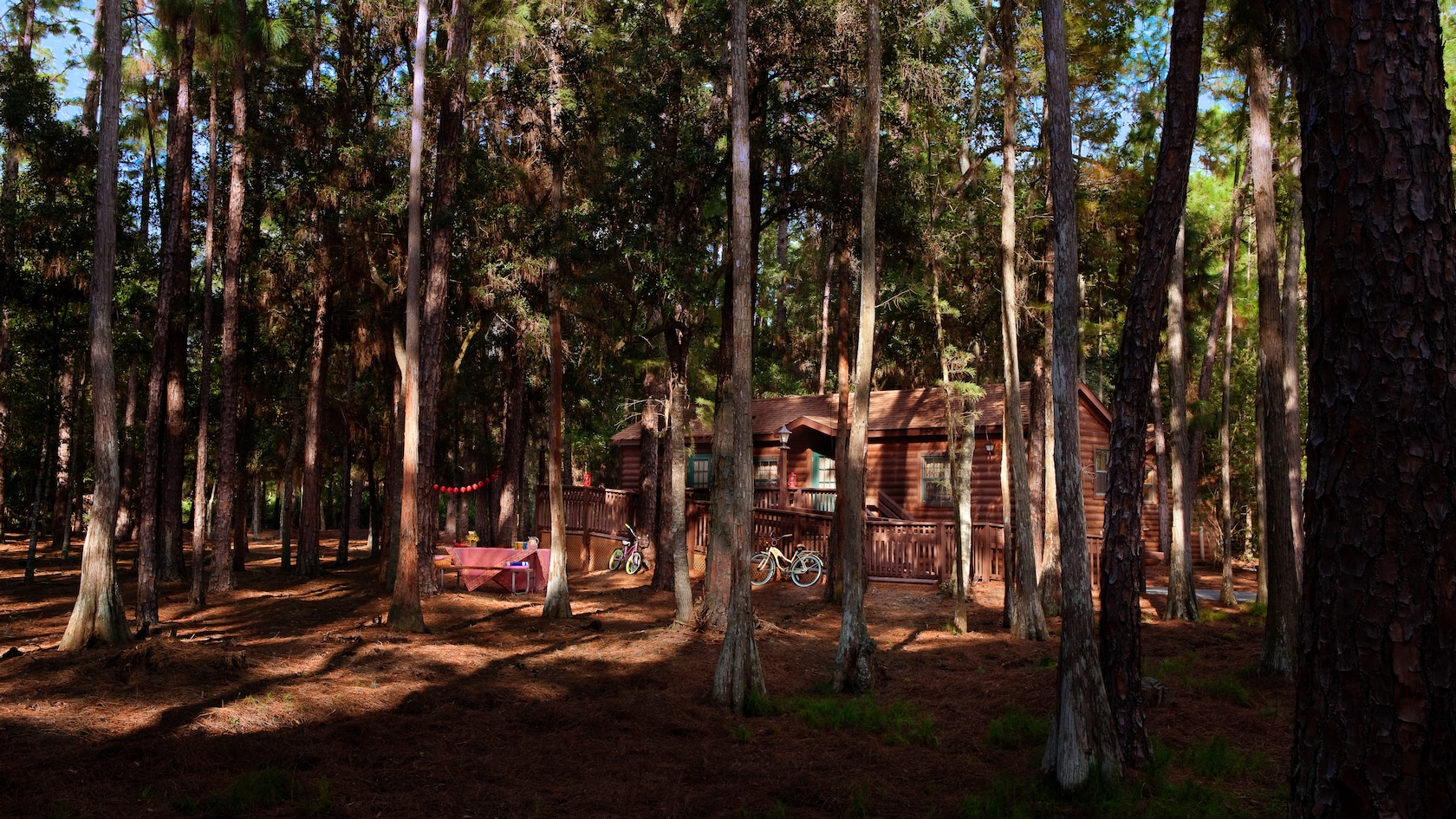 The Cabins at Disney's Fort Wilderness Resort