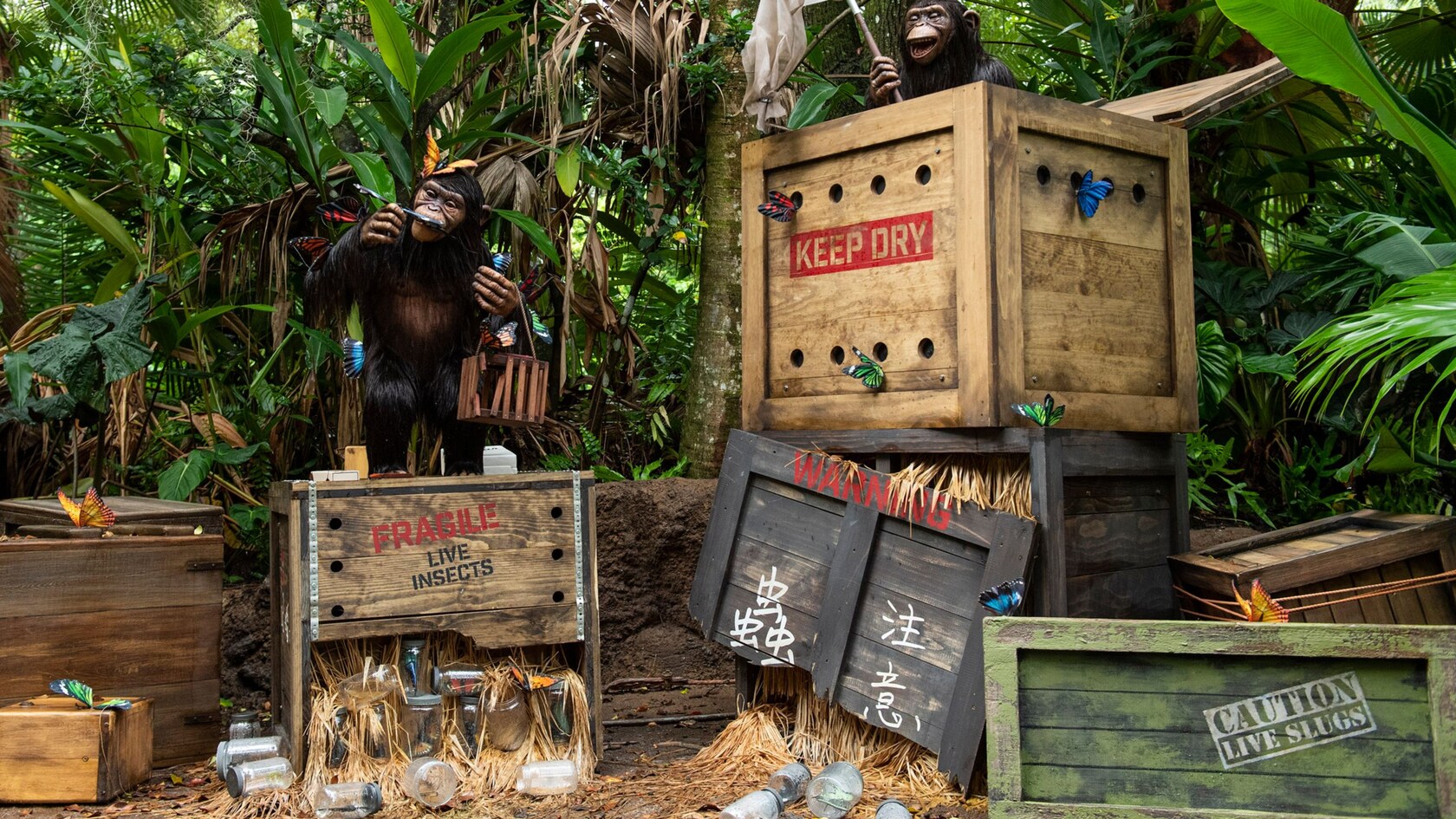 Dos chimpancés jugando en cajas que dicen cosas como “Fragile Live Insects”, “Keep Dry”, “Warning” and “Caution Live Slugs”