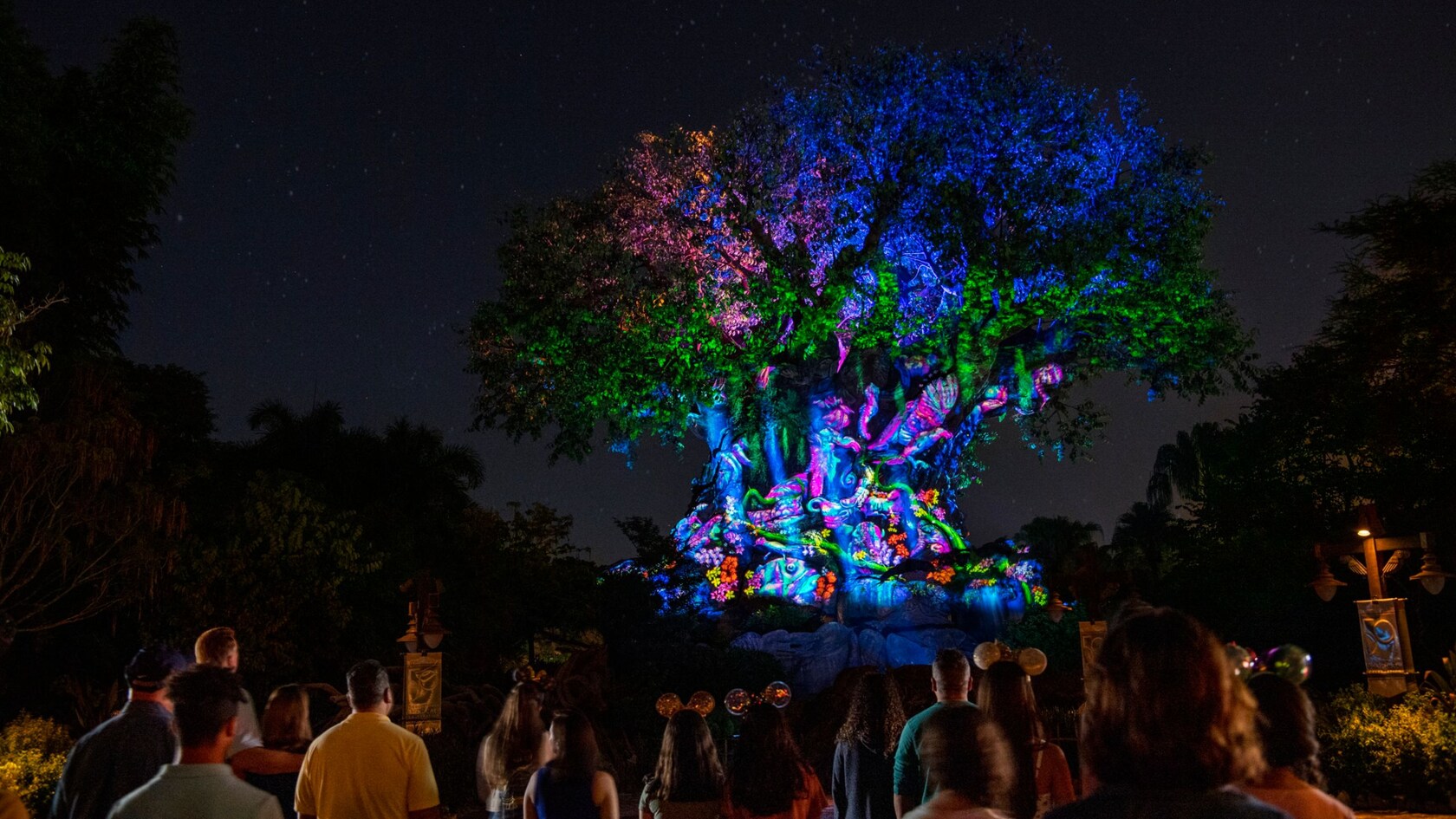 What Is The Tree Of Life From Disney What Is The Tree Of Life From Disney