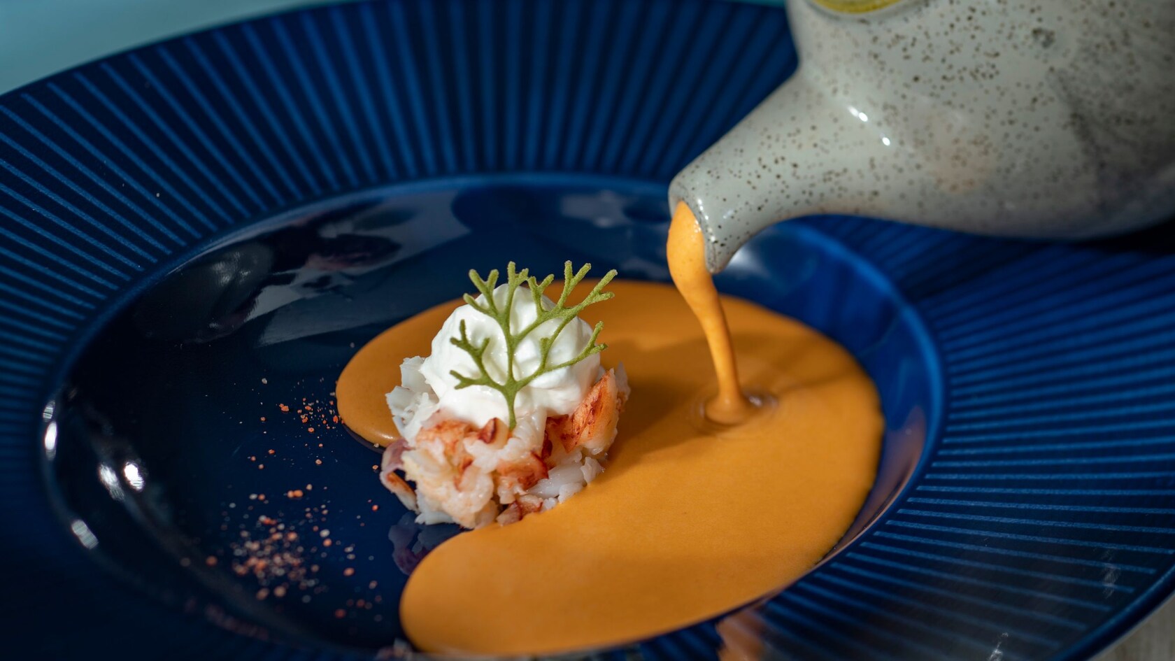Lobster bisque being poured into a bowl