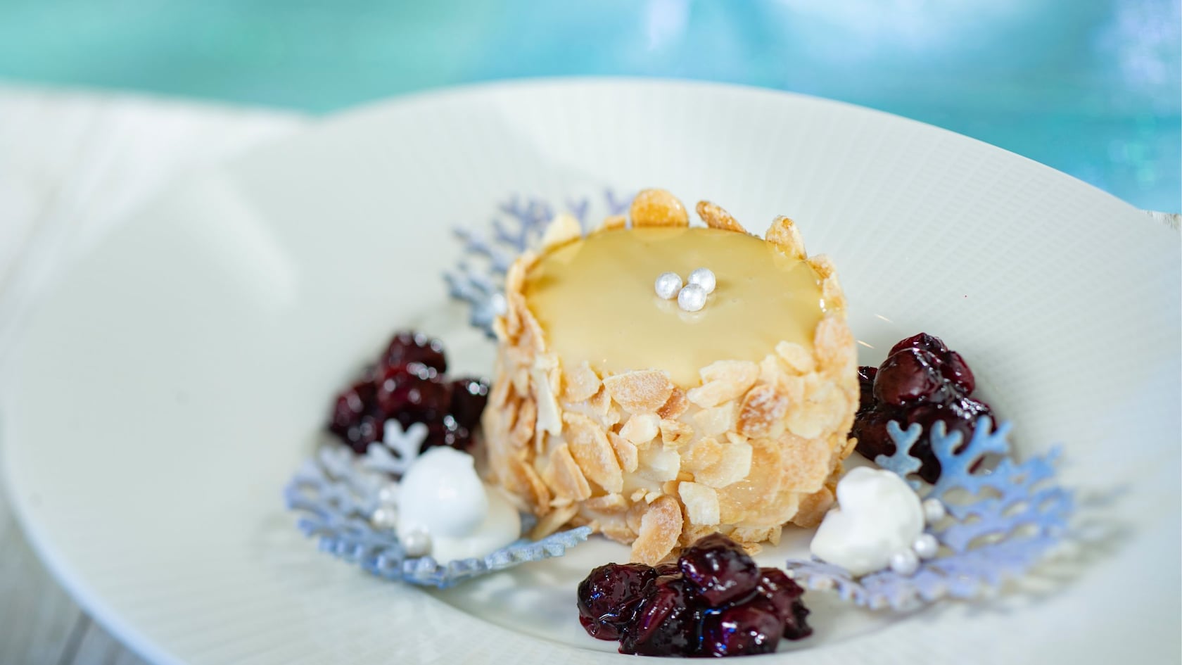 A piece of cheesecake served on a plate