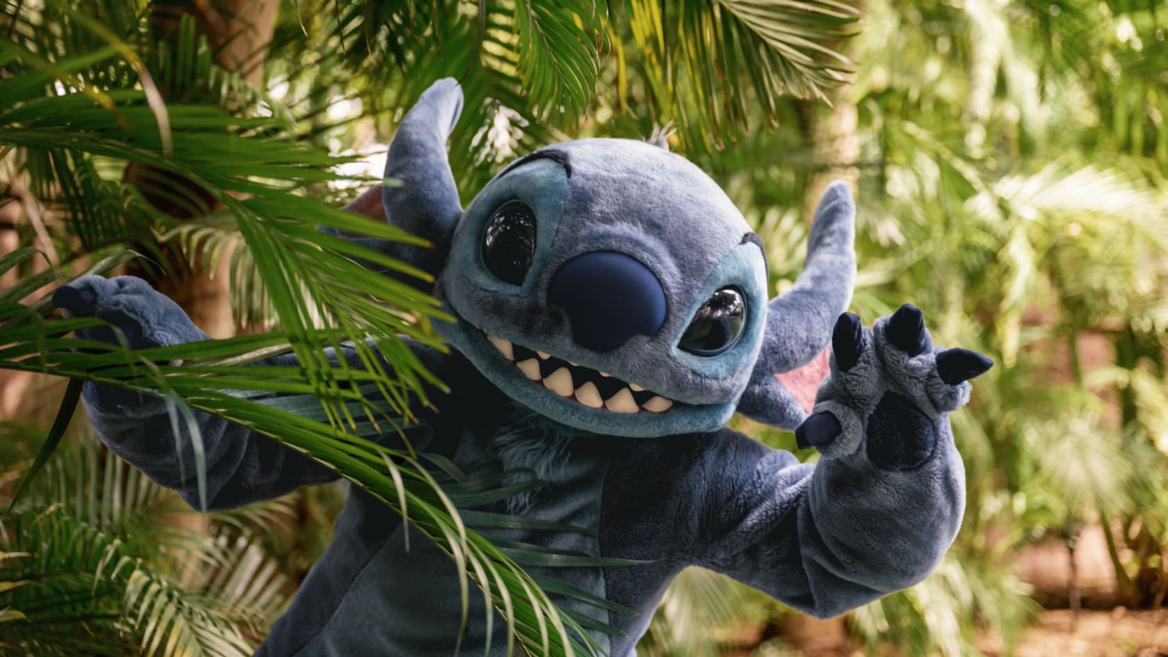 Stitch peeking out from the bushes