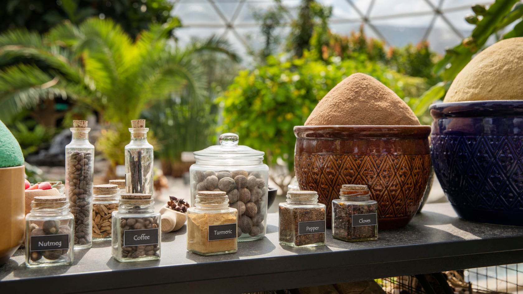 Varios recipientes pequeños con etiquetas que dicen: ‘Nuez moscada’, ‘Café’, ‘Cúrcuma’, ‘Pimienta’ y ‘Clavos de olor’