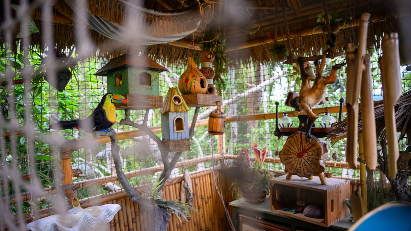 An enclosure containing a toucan and a monkey at Adventureland Treehouse inspired by Walt Disney's Swiss Family Robinson