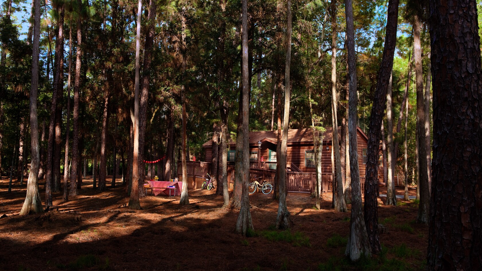 Cabin among the woods at Disney's Fort Wilderness Resort