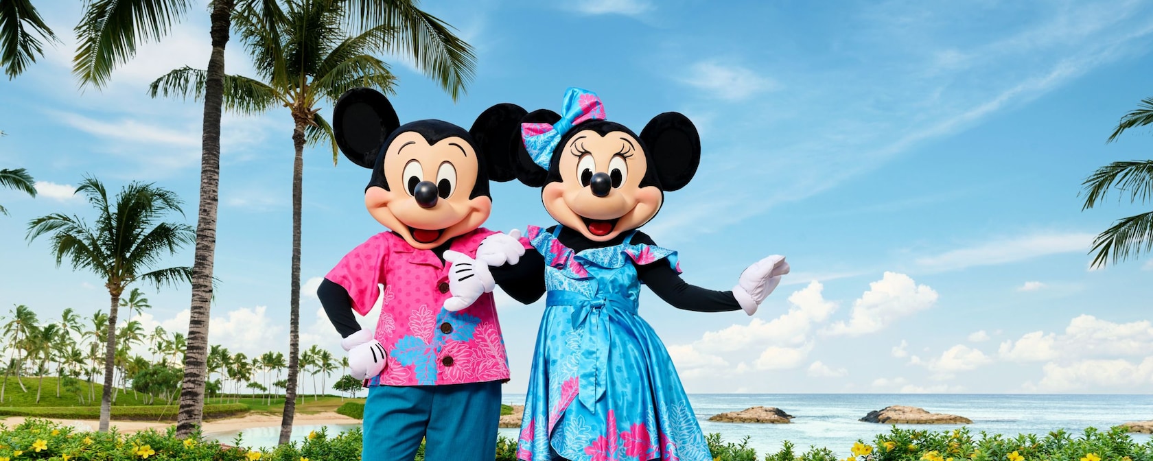 ディズニーアートコレクション（ハワイアンバケーション） ハワイアン