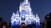 Learn more about Holidays at Walt Disney World Resort