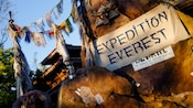 A rustic sign near an entrance on a hillside reads Expedition Everest