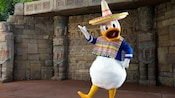 Donald Duck wears a poncho and a sombrero
