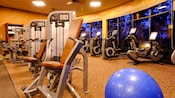 Two rows of exercise equipment in a gym
