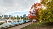 People on a walking path with a harbor filled with sailboats on one side and a lawn with trees on the other People on a walking path with a harbor filled with sailboats on one side and a lawn with trees on the other