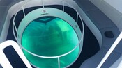 A see through window on the bottom of a boat reveals part of a sunken vessel