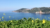 Tile roof houses terraced into the side of a lush hillside fronts a bay with gently rolling waters