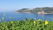 Tile roof houses terraced into the side of a lush hillside fronts a bay with gently rolling waters