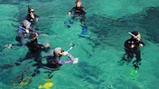 Um grupo de praticantes de snorkel formando um círculo na água