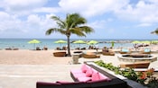 Un club de playa con palmeras. Sombrillas de playa y 2&nbsp;áreas para sentarse al aire libre