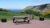 2 picnic tables above a verdant coastal glen