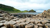 Visitantes caminando sobre las columnas de piedra de Giant's Causeway, cerca de la orilla del agua y los verdes acantilados
