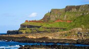 Guests walking through Giant's Causeway at the base of verdant coastal cliffs 