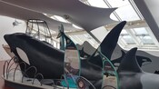 A museum exhibit featuring a model of an orca whale