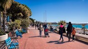 People strolling on a waterfront lined with trees and benches