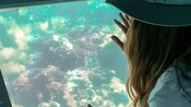A woman with her hand pressed against an underwater window as she admires a coral seabed