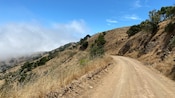 A dirt mountain road lined with brush