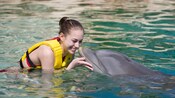A smiling Guest touches noses with a dolphin