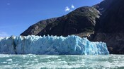 A floating chunk of glacier atop a fjord