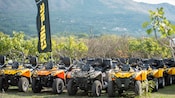 A fleet of 4 wheel ATVs parked in a lush forest setting